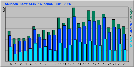 Stunden-Statistik im Monat Juni 2026